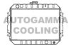 OPEL 6302013 Radiator, engine cooling